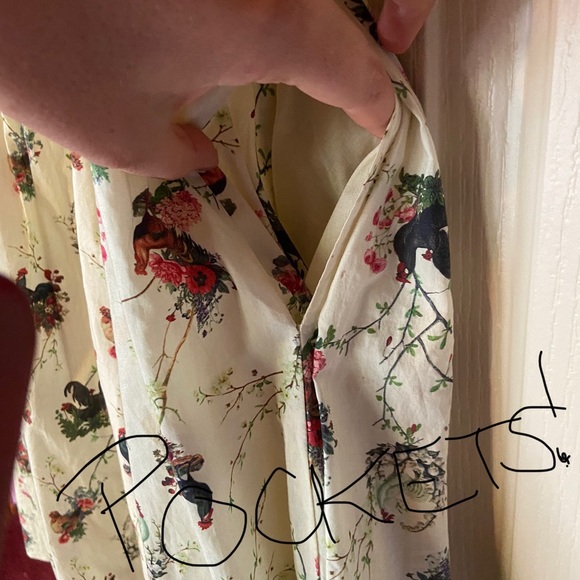 Dangerfield/Revival Chicken Dress 🐓 - Picture 5 of 5